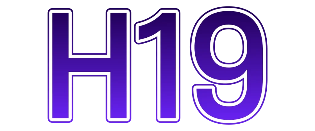 h19a.net